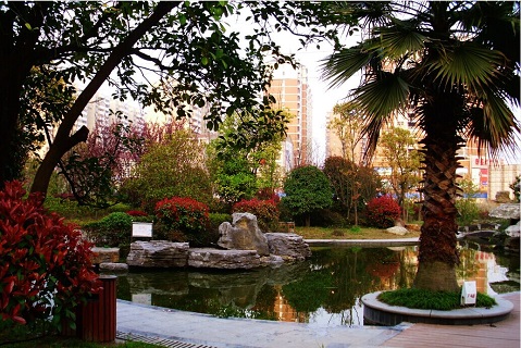 示范样板社区-东磁新城国际花园